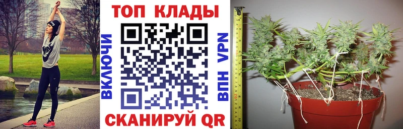Купить наркоту Хабаровск Кокаин  Меф мяу мяу  Гашиш  A PVP  Каннабис 