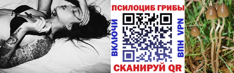 Галлюциногенные грибы мицелий  мега ссылка  Хабаровск 